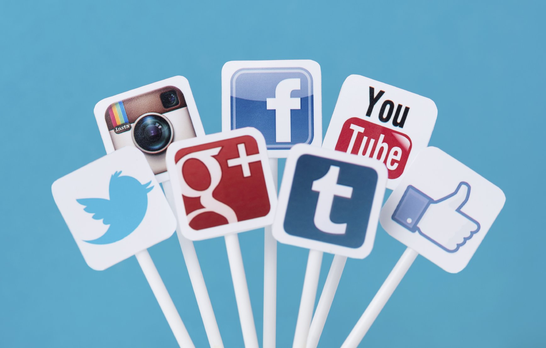 Social Media Platforms
